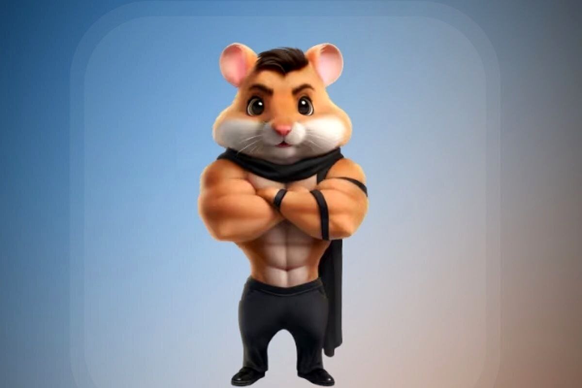 کارت‌های همستر 17 مرداد منتشر شد