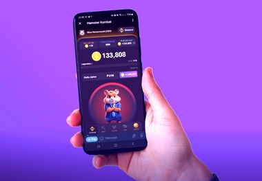 کارت های امروز همستر ۱۳ تیر + آموزش وارد کردن