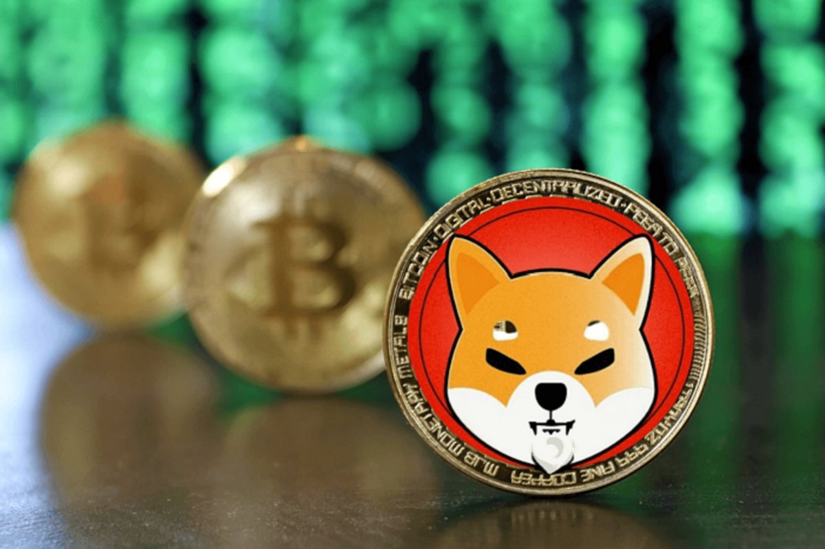 رشد ۱۵ درصدی شیبا اینو؛ رالی شیبا ادامه پیدا میکند؟