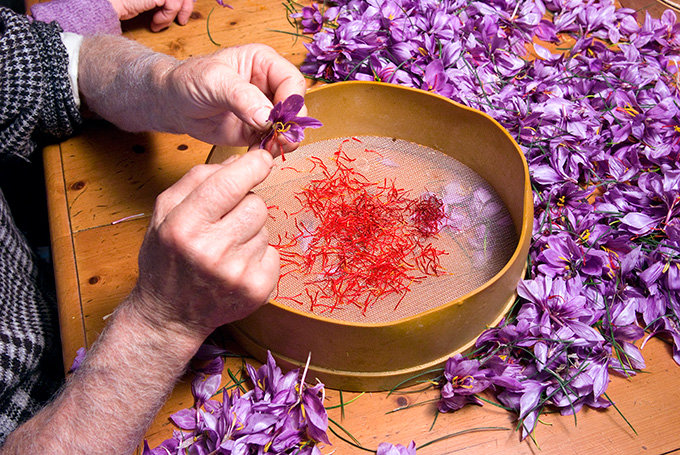 قیمت جدید زعفران اعلام شد