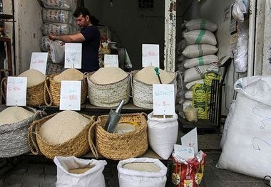 قیمت جدید برنج ایرانی و خارجی در بازار؛ ارزان‌ترین برنج کیلویی 53 هزار