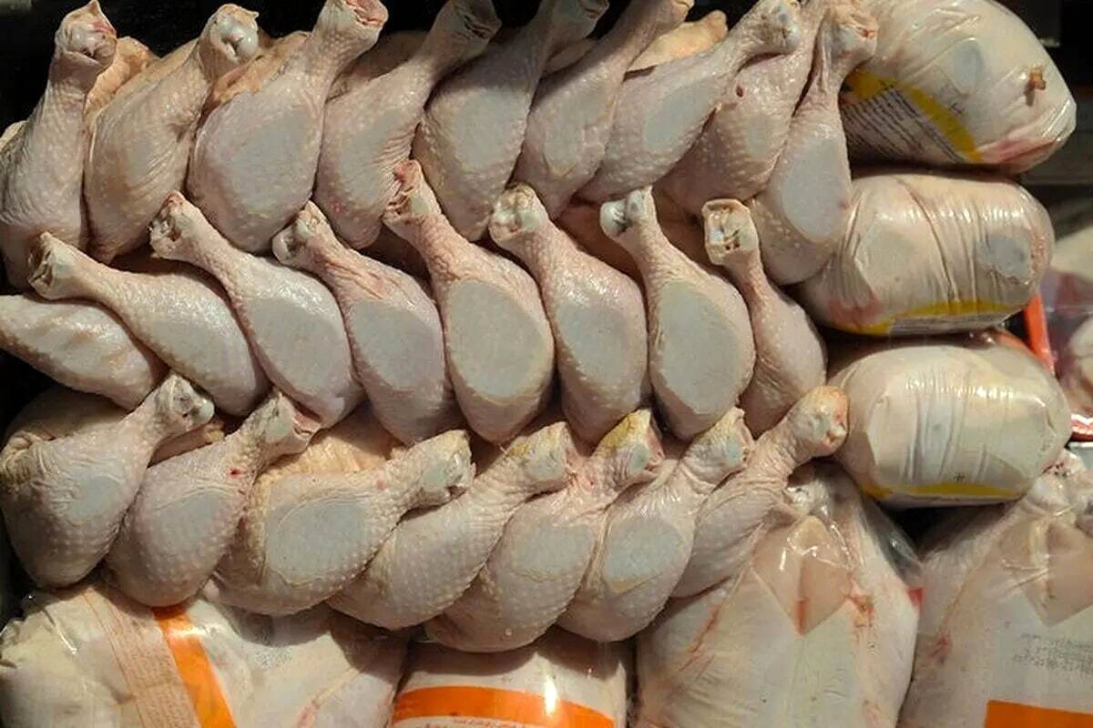 قیمت گوشت مرغ ۸ فروردین ۱۴۰۴/ فیله و ران مرغ چقدر است؟