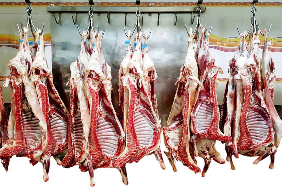 قیمت گوشت قرمز امروز 22 آبان/ راسته گوسفندی چند؟