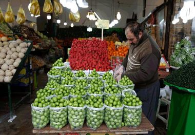 قیمت عجیب میوه‎‎‌های نوبرانه؛ گوجه سبز کیلویی شش میلیون!