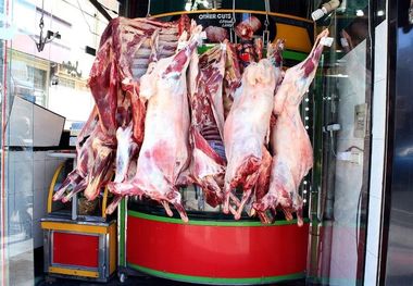فروش قسطی گوشت و مرغ؛ شایعه یا واقعیت؟
