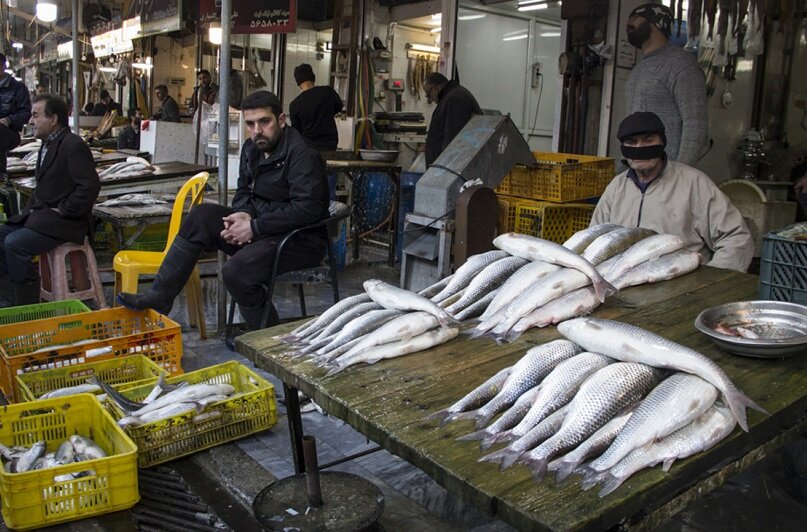 قیمت ماهی و میگو در بازار امروز؛ قزل‌آلا چند؟