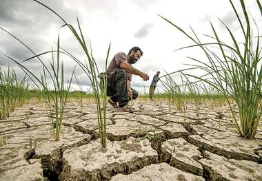 کشاورزی چطور ایران را تشنه‌ کرد؟