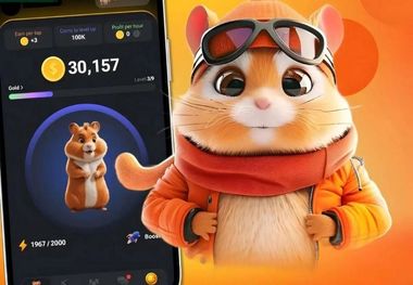 کارت های امروز همستر کامبت ۵ تیر مشخص شد + عکس