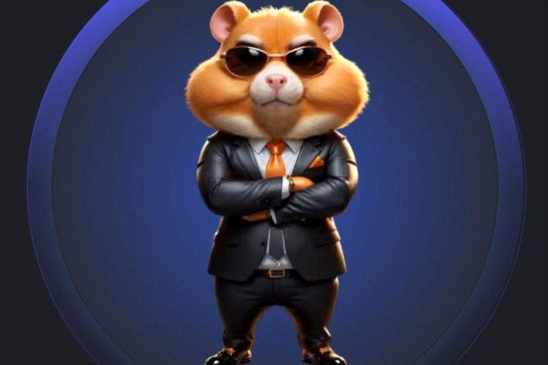 کارت های همستر 19 خرداد منتشر شد