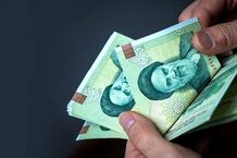دولت به این افراد 25 میلیون تومان پاداش می‌دهد