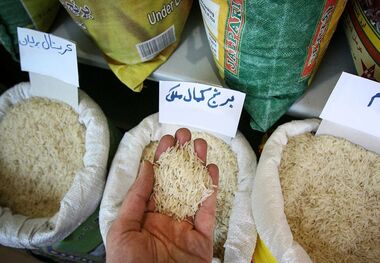 قیمت برنج امروز 27 اردیبهشت 1403