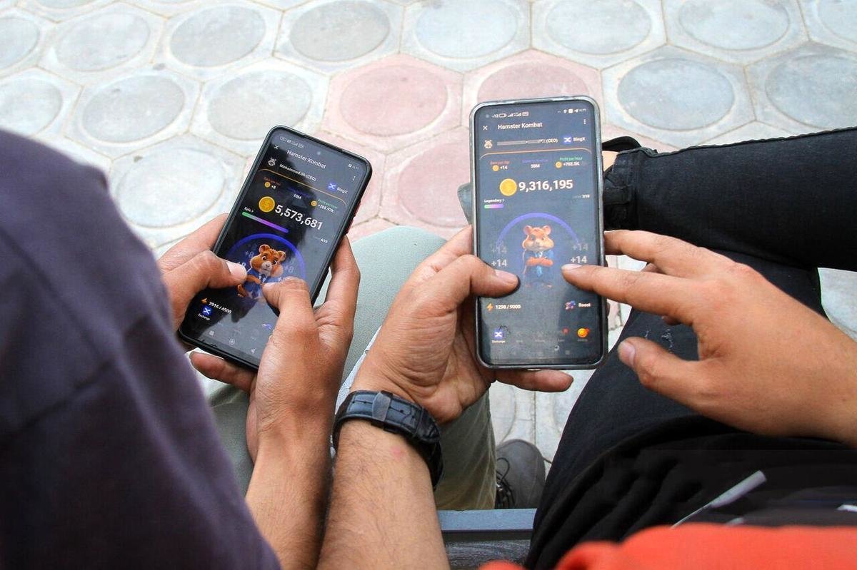 کارت‌های همستر 21 مرداد منتشر شد