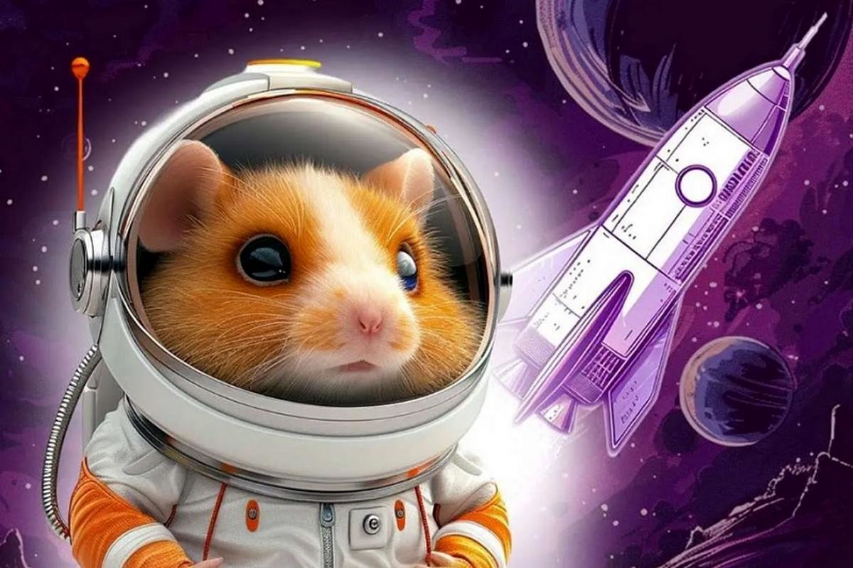 کارت‌های همستر 24 مرداد منتشر شد