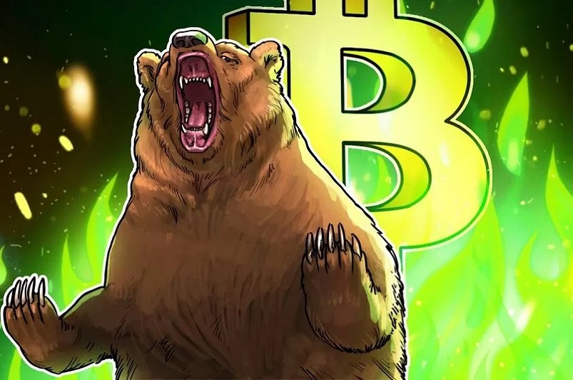 تسلط خرس‌ها بر بازار ارز دیجیتال 