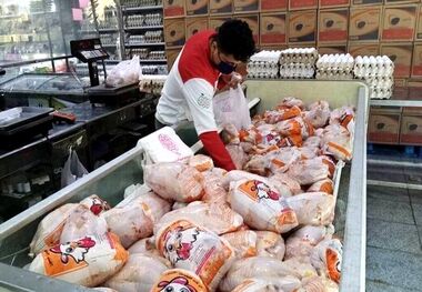 قیمت گوشت مرغ‌ امروز ۲۶ فروردین ۱۴۰۳