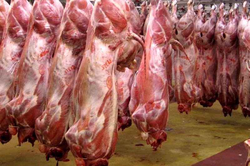 قیمت گوشت گوسفندی امروز ۲۵ خرداد ۱۴۰۳ 